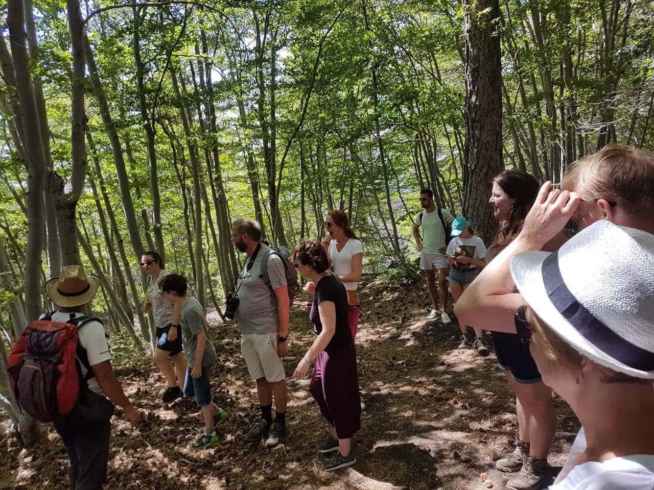 Nel bosco di betulle e pini risparmiato dalla colata del 2002